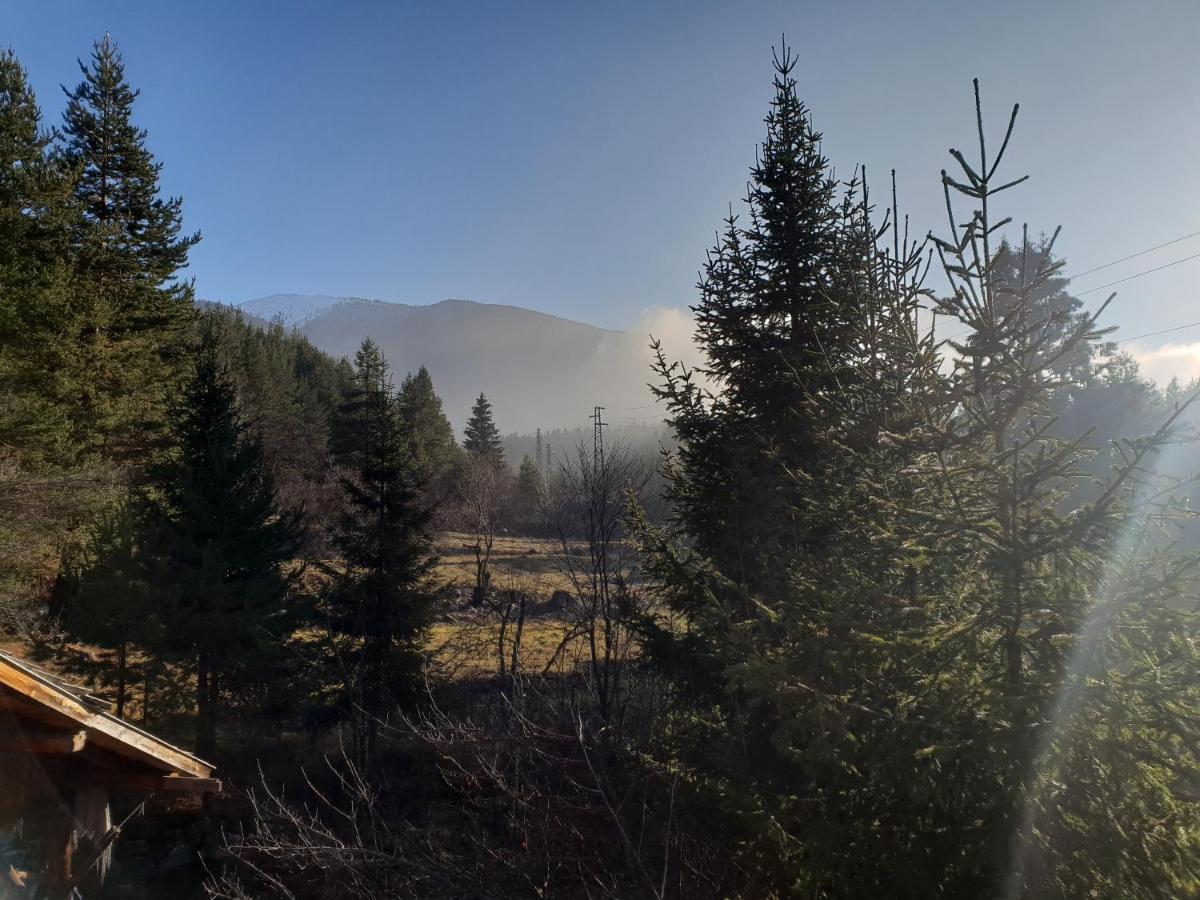 Vila Kosherinata Bansko Eksteriør bilde